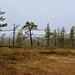 Fulufjället Nationalpark Schweden
