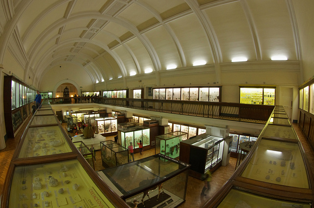 Natural History Gallery