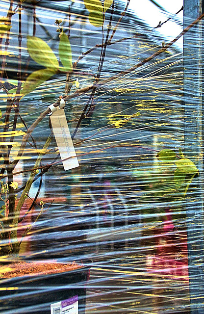 Plants stacked and wrapped in cellophane. Garden Centre