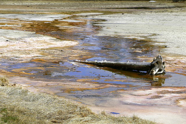 Geyser Runoff