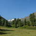 auf dem Zirbenweg bei Obergurgl (© Buelipix)