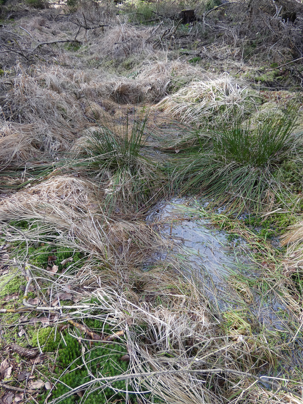 Wasser am Schwarzerberg