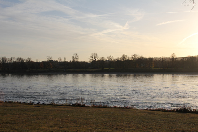 Am Rhein in Bonn