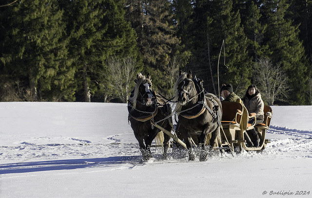 eine andere Art im Schnee unterwegs zu sein (© Buelipix)