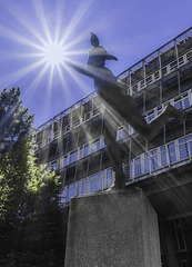 Hermes am Baumwall ... P.i.P. (© Buelipix)