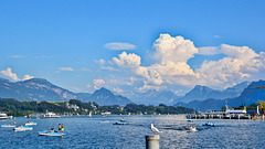 Luzern,                Vierwaldstättersee