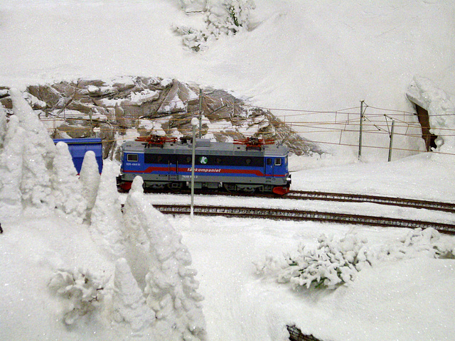 Erzzug auf dem Weg von Kiruna nach Narvik