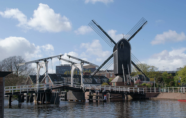 Rembrandt Bridge und Molen De Put