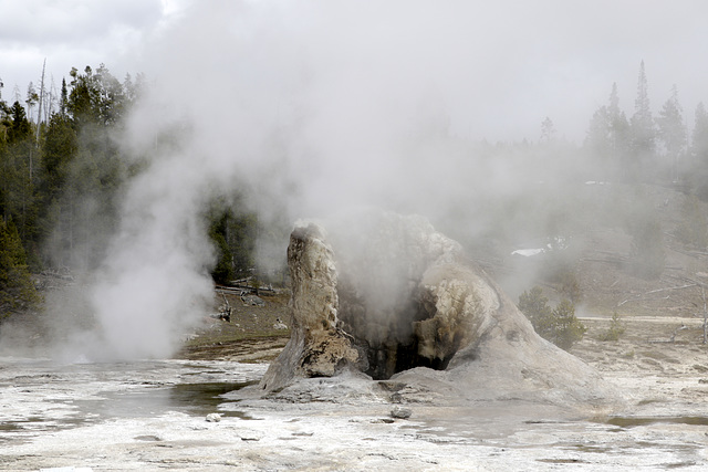 Giant Geyser