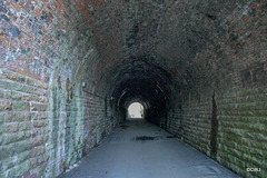 Tunnel along the Dava Way