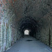 Tunnel along the Dava Way