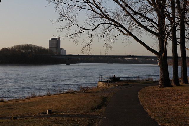 Am Rhein in Bonn