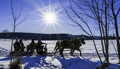 Schwarzwald im Winter (© Buelipix)