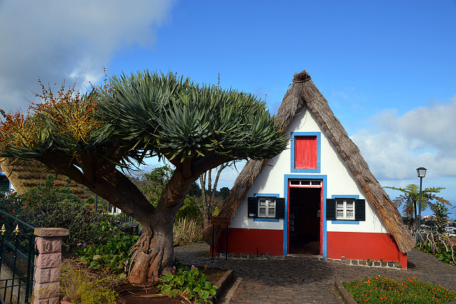 Wahrzeichen der Insel Madeira