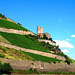 DE - Burg Ehrenfels, seen from the Rhine