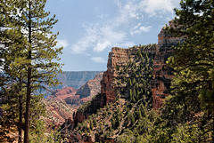 Grand Canyon F612450