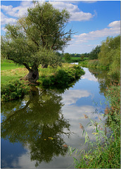 The Great Ouse near Wyton