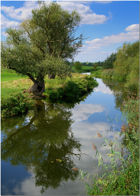 The Great Ouse near Wyton