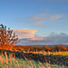 Stone Wall in Sunset