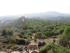 Vue sur la "vallée des temples" depuis celui de Junon