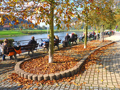 Warmer sonniger Herbsttag - varma suna aŭtuntago