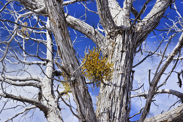 Monochrome with Colours – Desert View, Grand Canyon, Arizona