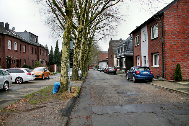 Amselstraße (Oberhausen-Klosterhardt) / 20.01.2018