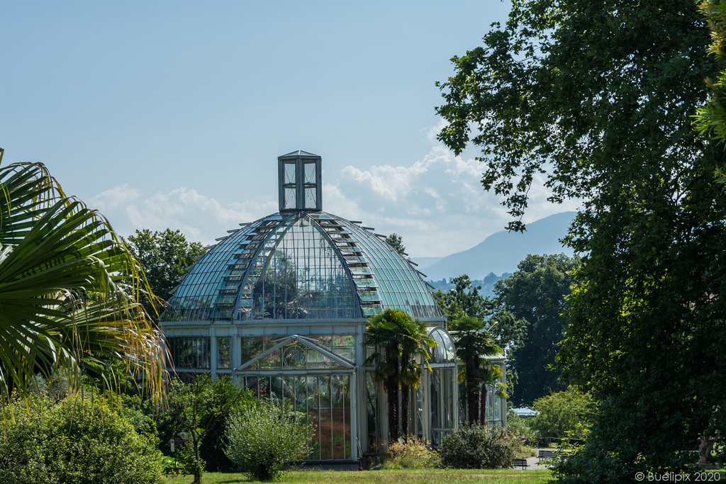 im Botanischen Garten von Genf (© Buelipix)