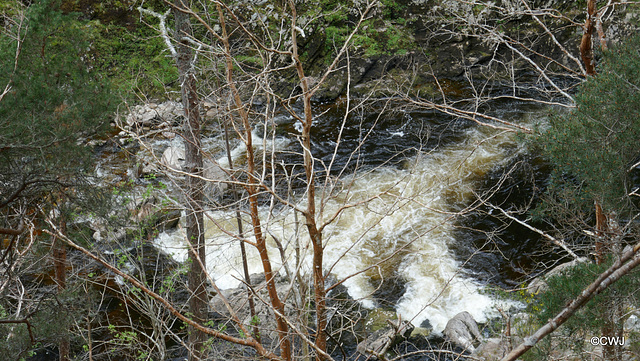 Views along the edge of the River Findhorn from the Sluie Walks' Loops on the Earl of Moray's Estate.