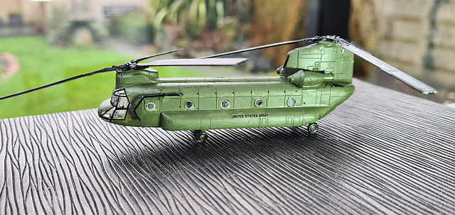 Model Chinook