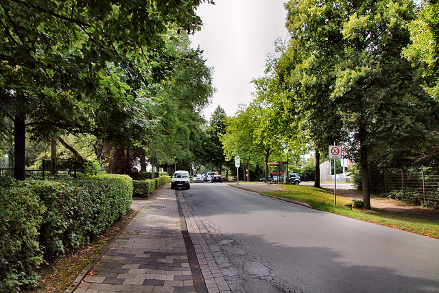 Kirchender Dorfweg (Herdecke-Ostende) / 1.08.2022