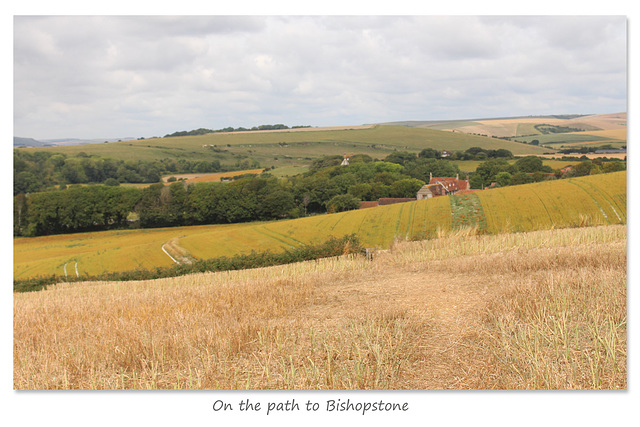 On the path to Bishopstone 3 8 2019