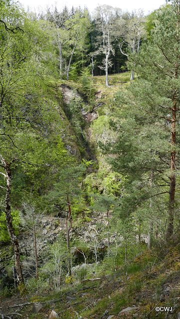 Views along the edge of the River Findhorn from the Sluie Walks' Loops on the Earl of Moray's Estate.