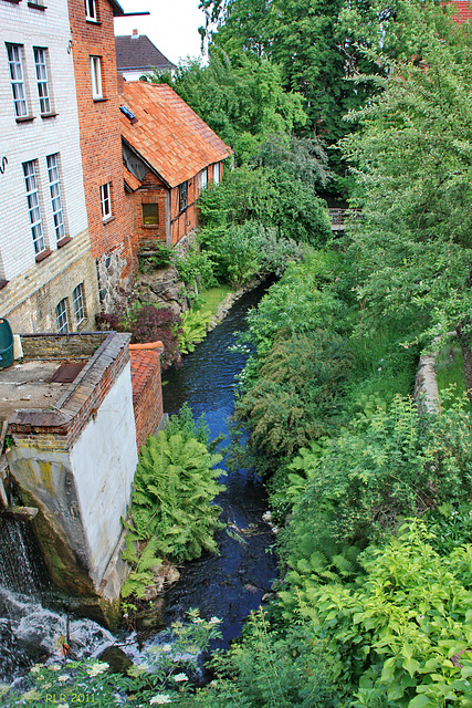 Sternberg, die Erbkornmühle im Sommer