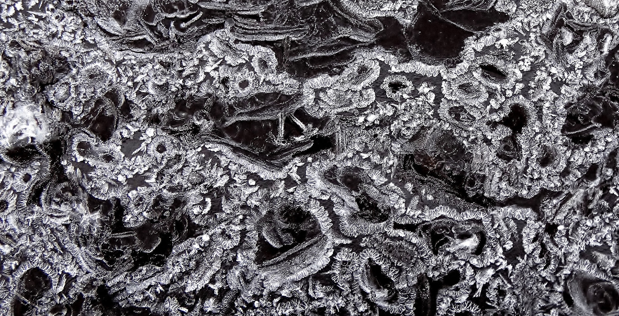 A Frosty New Years Day 3