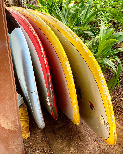 surfboards