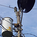 Electricity pole with nest