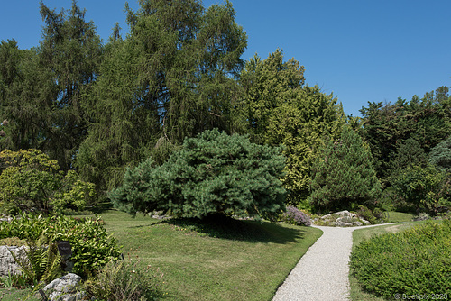 im Botanischen Garten von Genf (© Buelipix)