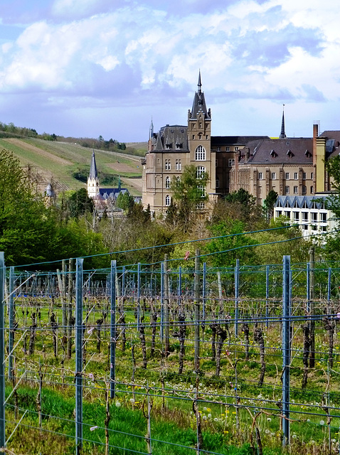 Kloster Kalvarienberg