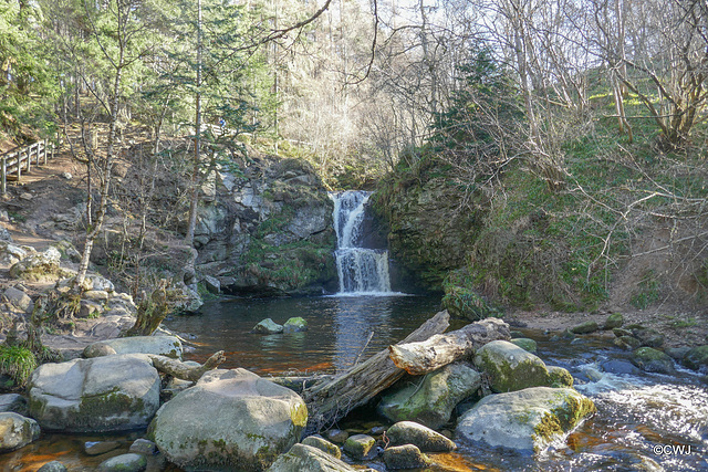 Linn Falls, Aberlour