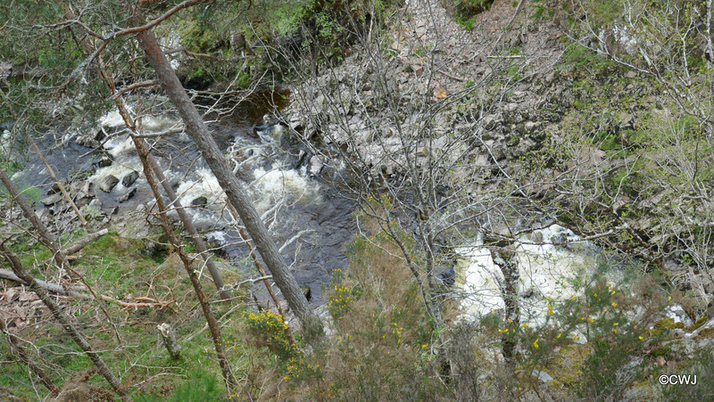 Views along the edge of the River Findhorn from the Sluie Walks' Loops on the Earl of Moray's Estate.