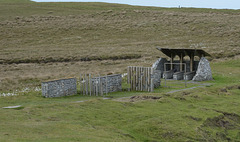 The Children of Lir sculpture