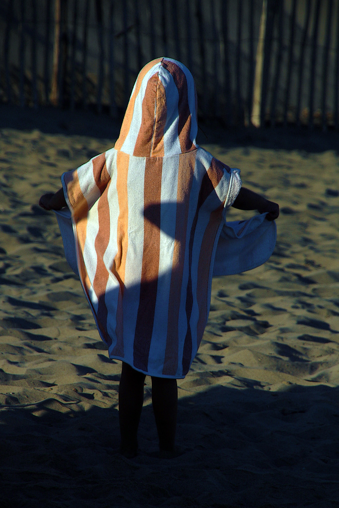 Puce des sables incognito .