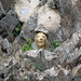 Kunst im Felsen in Collioure