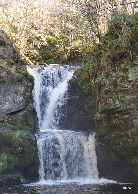 Linn Falls Aberlour