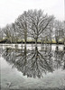 Villemoirieu (38) 17 janvier 2022.