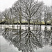 Villemoirieu (38) 17 janvier 2022.