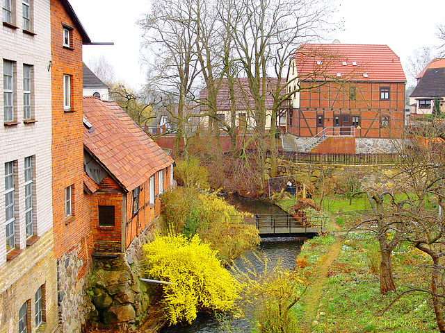 Sternberg, die Erbkornmühle im Frühling