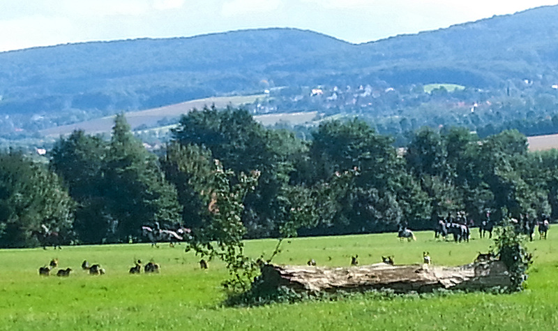 20150926 142640Hw [D~SHG] Schleppjagd, Bückeburg, Wesergebirge