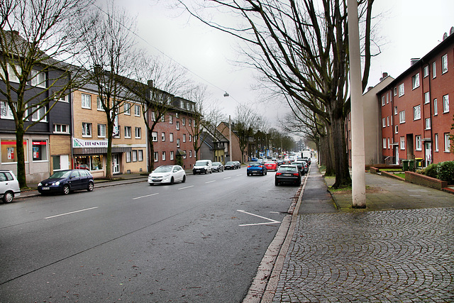 Teutoburger Straße (Oberhausen-Klosterhardt) / 20.01.2018